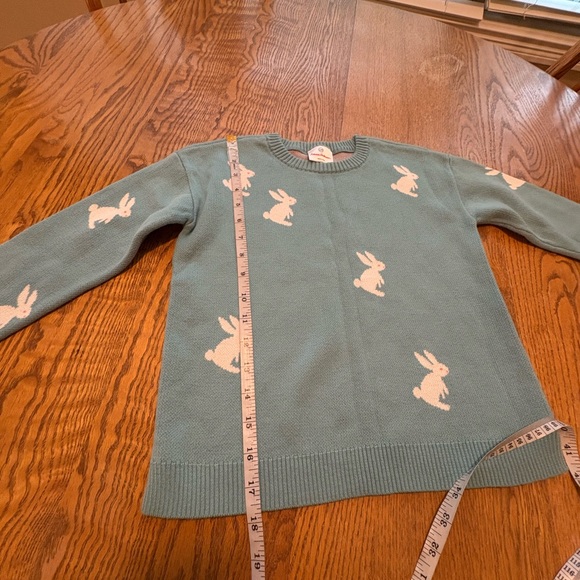 Hanna Andersson 120 US 6 Girls Turquoise Ski Bunny Sweater EUC - Picture 3 of 7